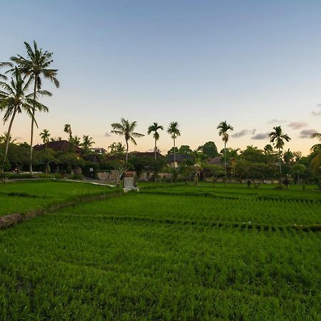 อมาตรา อะกุง รากา - ผ่านการรับรอง Chse Villa อูบุด ภายนอก รูปภาพ