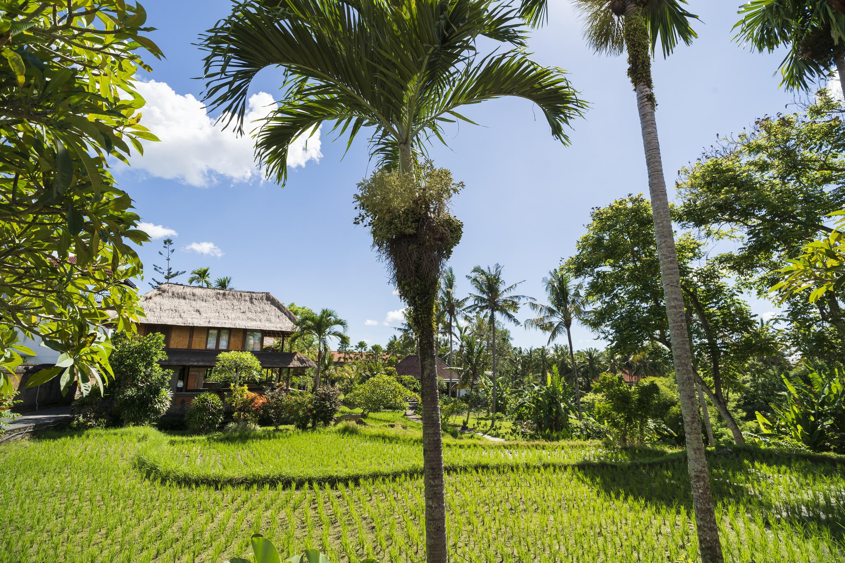 อมาตรา อะกุง รากา - ผ่านการรับรอง Chse Villa อูบุด ภายนอก รูปภาพ