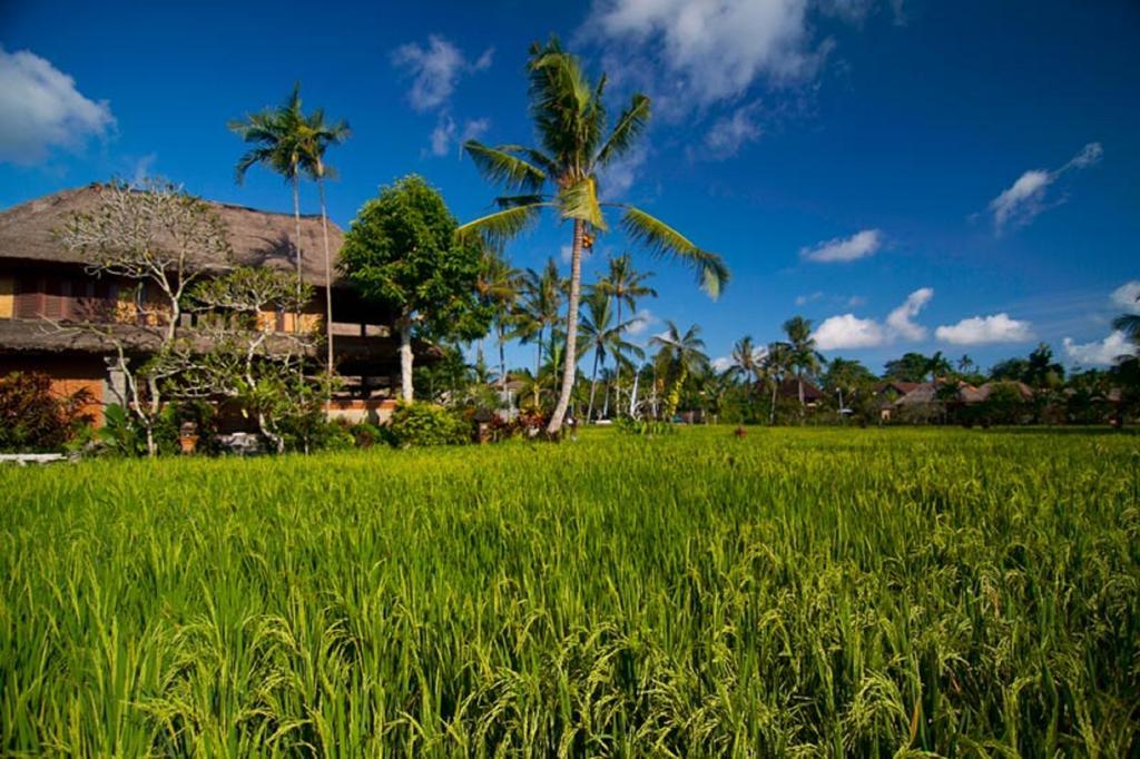 อมาตรา อะกุง รากา - ผ่านการรับรอง Chse Villa อูบุด ภายนอก รูปภาพ