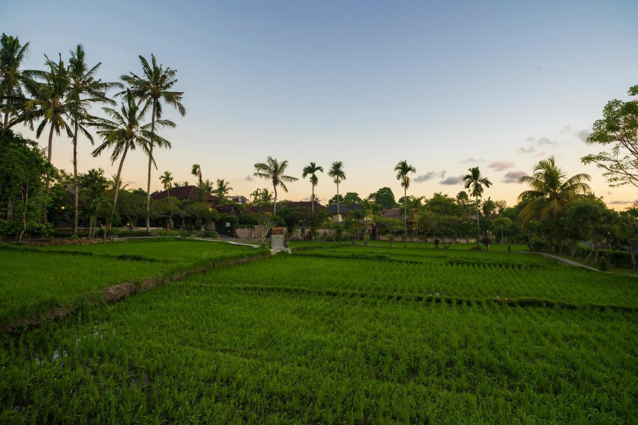 อมาตรา อะกุง รากา - ผ่านการรับรอง Chse Villa อูบุด ภายนอก รูปภาพ